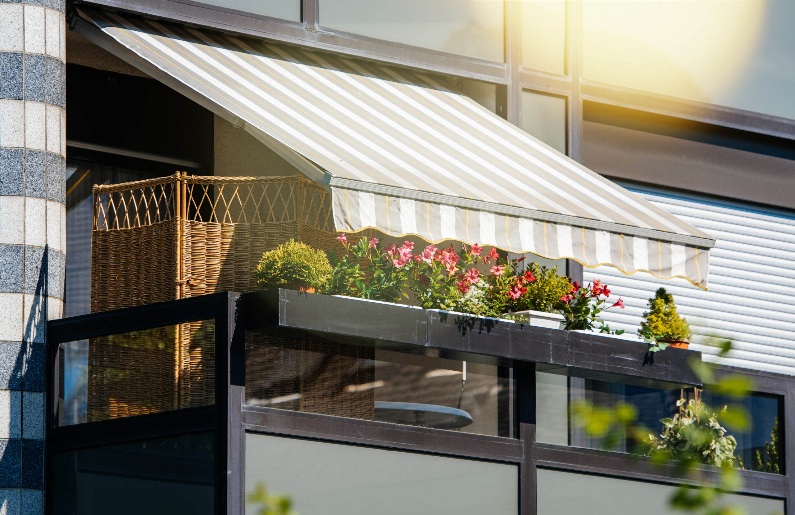 Motorised Awning